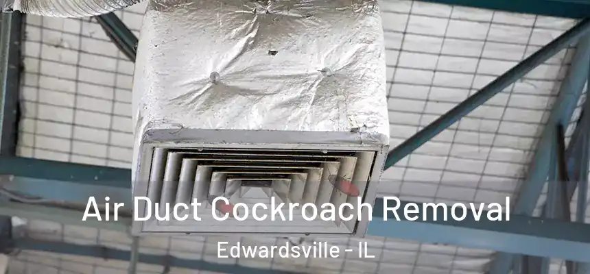 Air Duct Cockroach Removal Edwardsville - IL