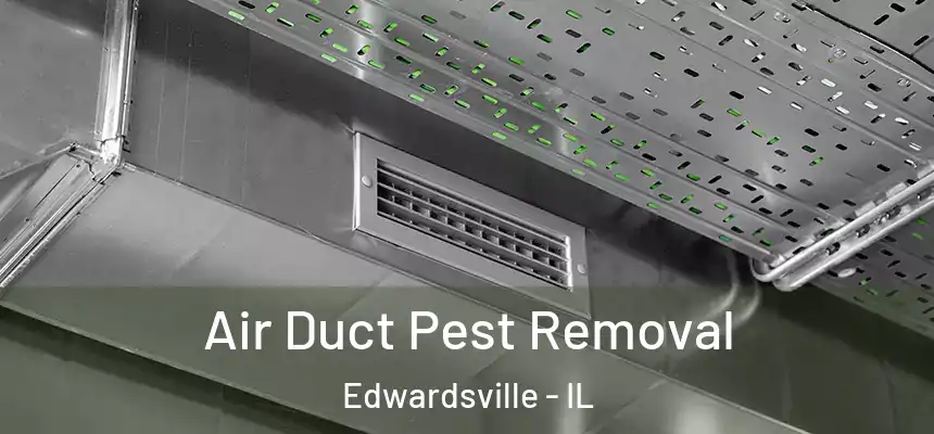 Air Duct Pest Removal Edwardsville - IL