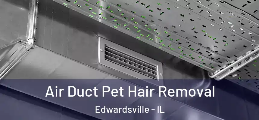 Air Duct Pet Hair Removal Edwardsville - IL