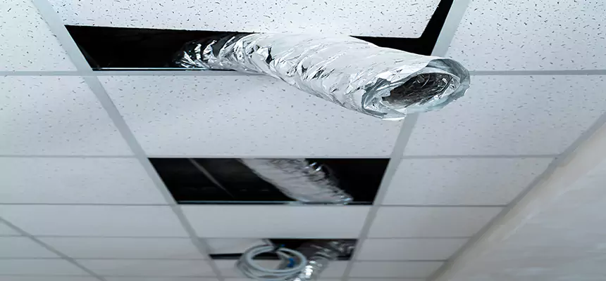 Affordable HVAC Sanitizing After Pest Removal in Edwardsville