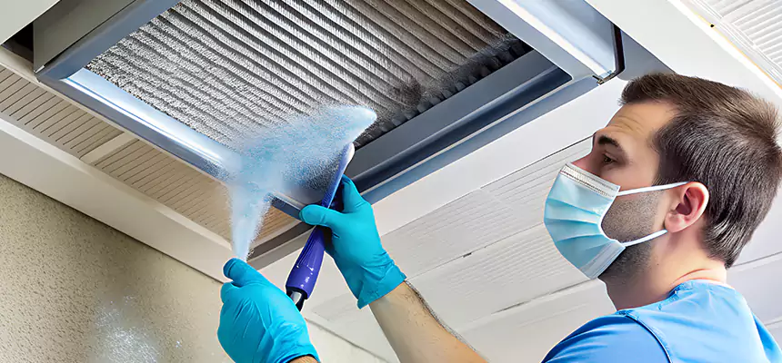 Proactive Dryer Vent & Auxiliary Duct Pollen Cleanup in Edwardsville, IL