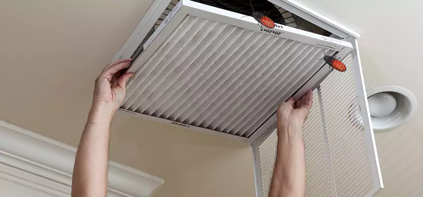 Our Insect Removal from Air Ducts Services in Edwardsville, IL