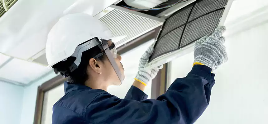 Our Mold & Mildew Removal from Air Ducts Services in Edwardsville, IL