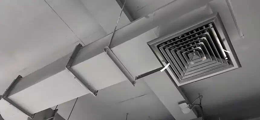 Our Pest Removal From Ducts Services in Edwardsville, IL