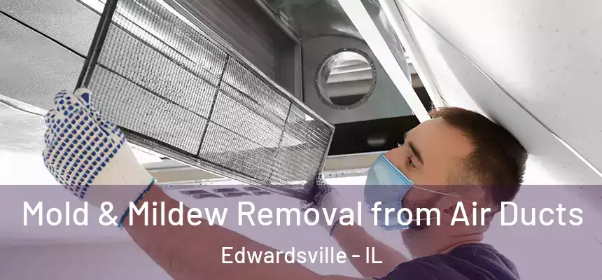  Mold & Mildew Removal from Air Ducts Edwardsville - IL