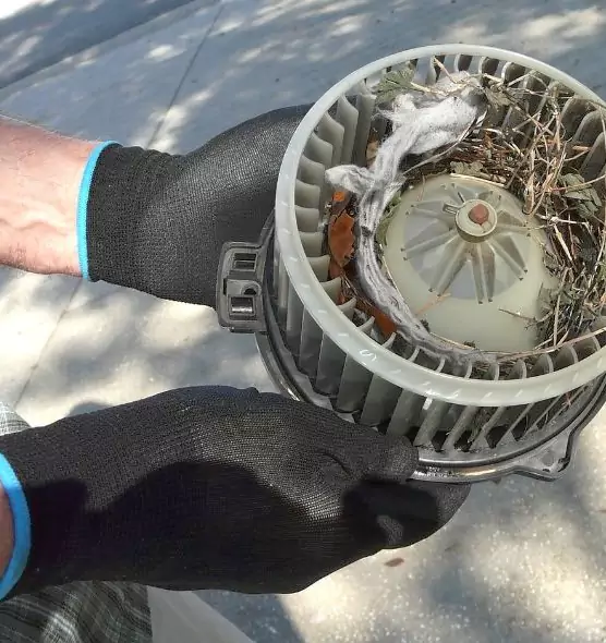 About Air Duct Mice Removal in Edwardsville, IL