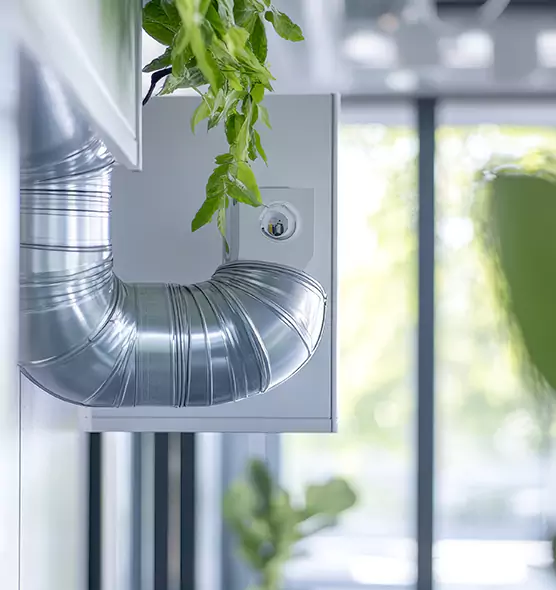 Professional Eco-Safe Dryer Vent Cleaning in Edwardsville, IL