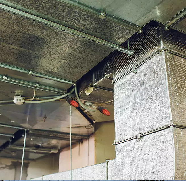 Why Homeowners & Businesses Trust Us in Edwardsville, IL?