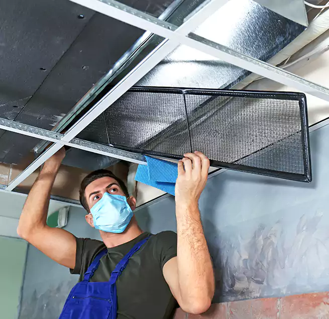 Why Homeowners Businesses Trust Us in Edwardsville, IL