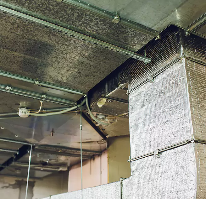 Why Homeowners & Businesses Trust Us in Edwardsville, IL?